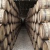 Full Size Oak Wine Barrel Grade C
